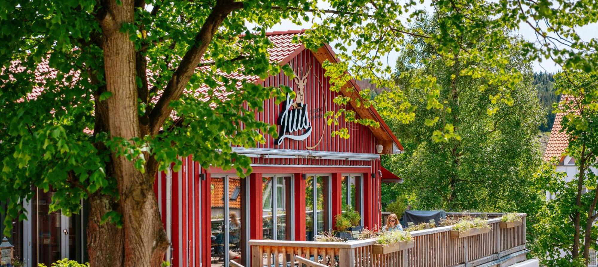 Das Schierke Harzresort Extérieur photo