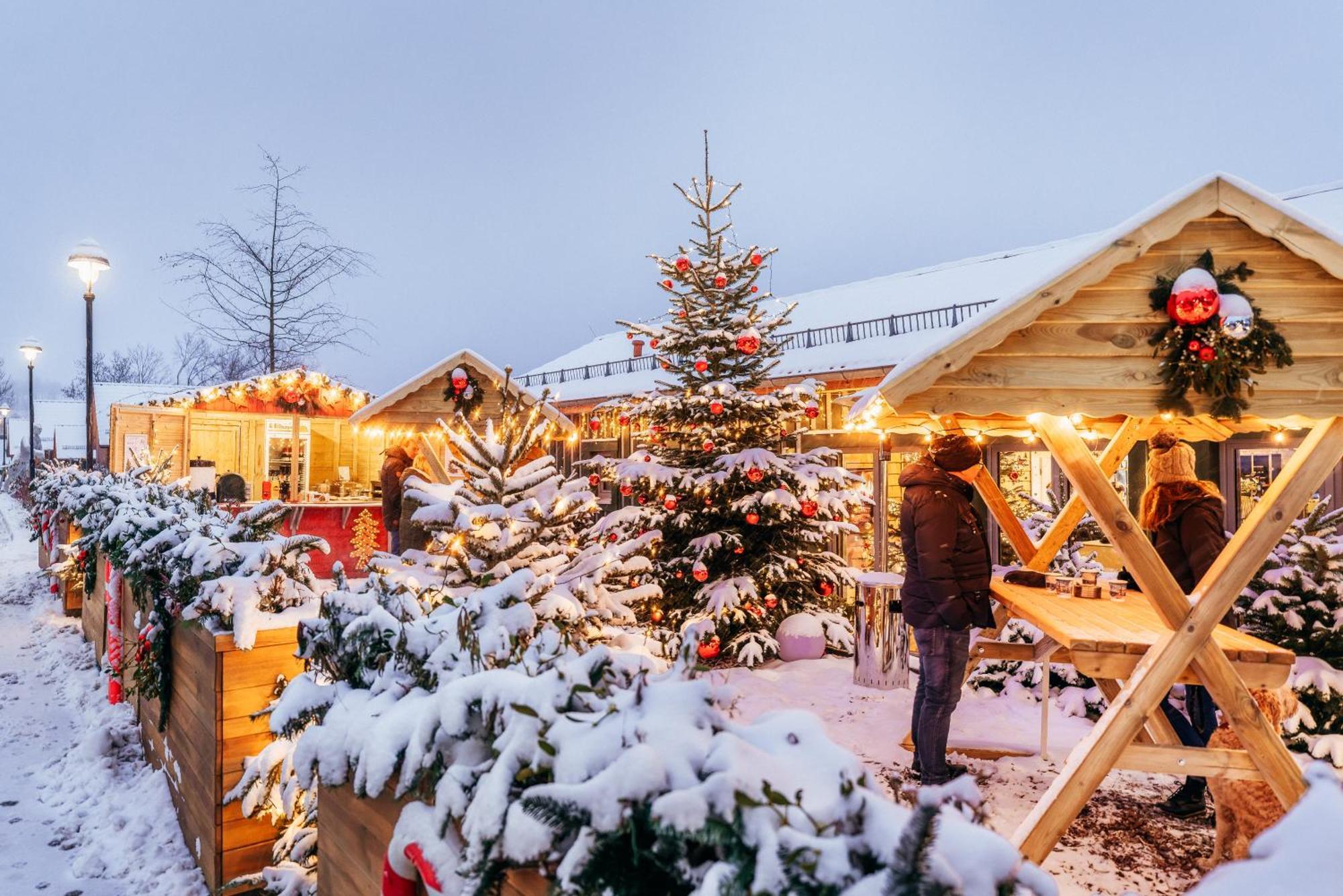 Das Schierke Harzresort Extérieur photo